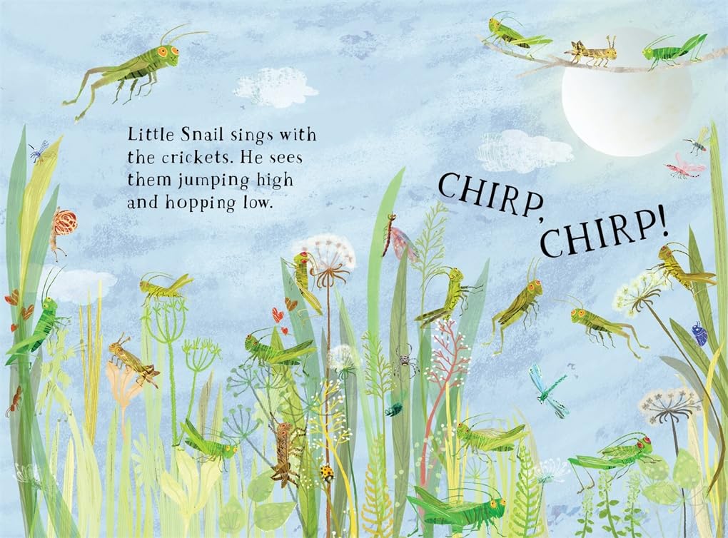 Little Snail's Book of Bugs /anglais