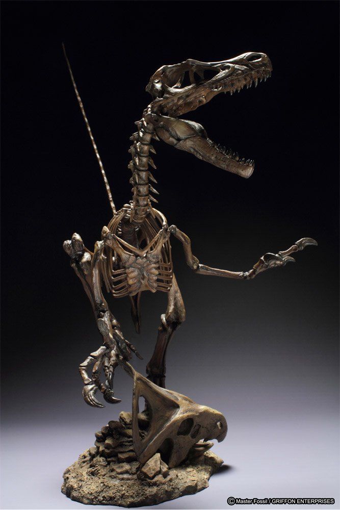Master Fossil Skeleton Model Series PVC Statue Velociraptor 41 cm 