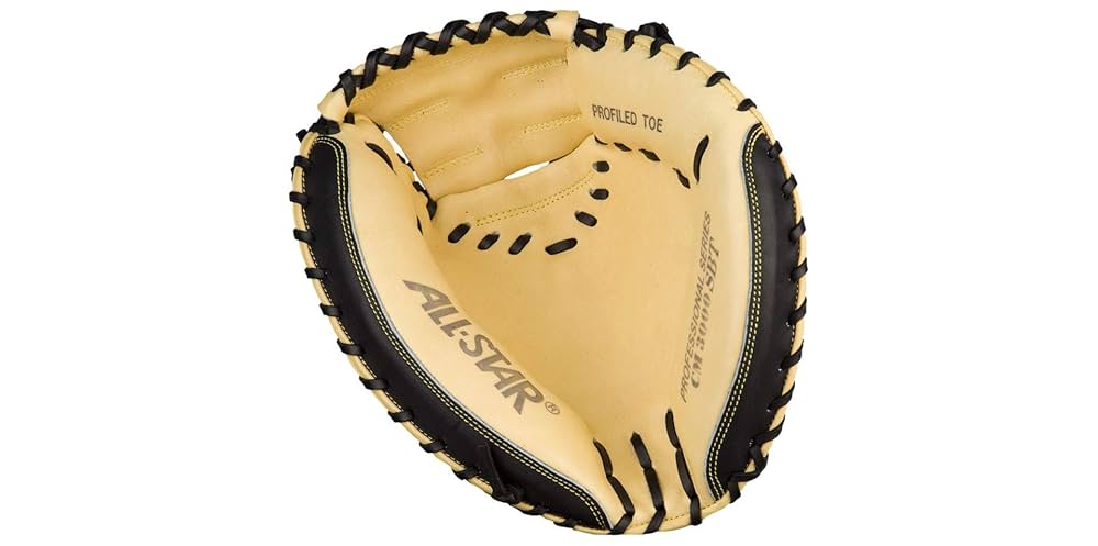 け*ぃ様 USAオールスターCM 3000 BT 硬式キャッチャーミット All Star Pro Elite Series 33.5