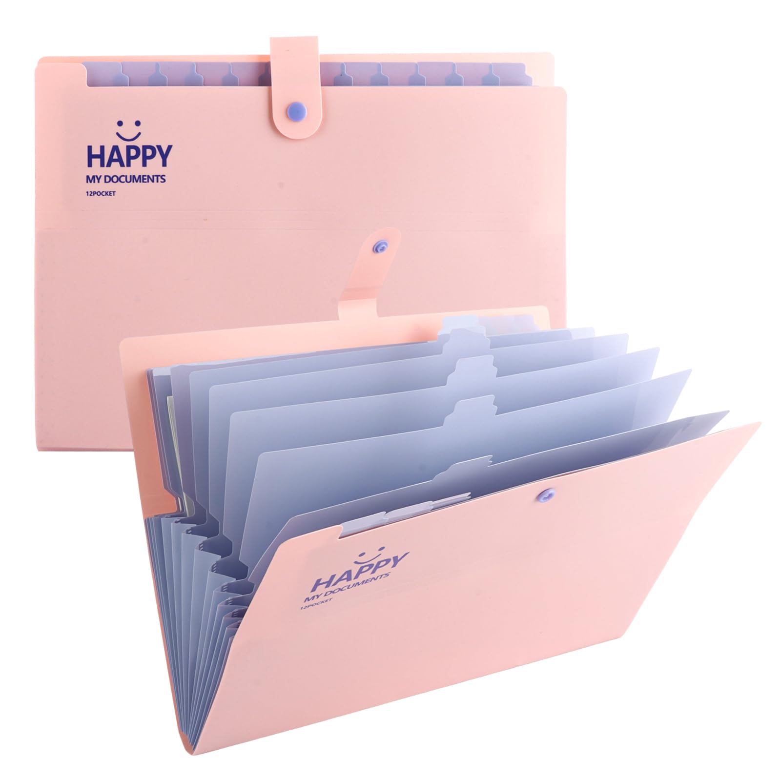 ASelected Pack of 2 A4 Expanding File Folder with 12 Compartments - Document Folder for Home, Office, School and Travel