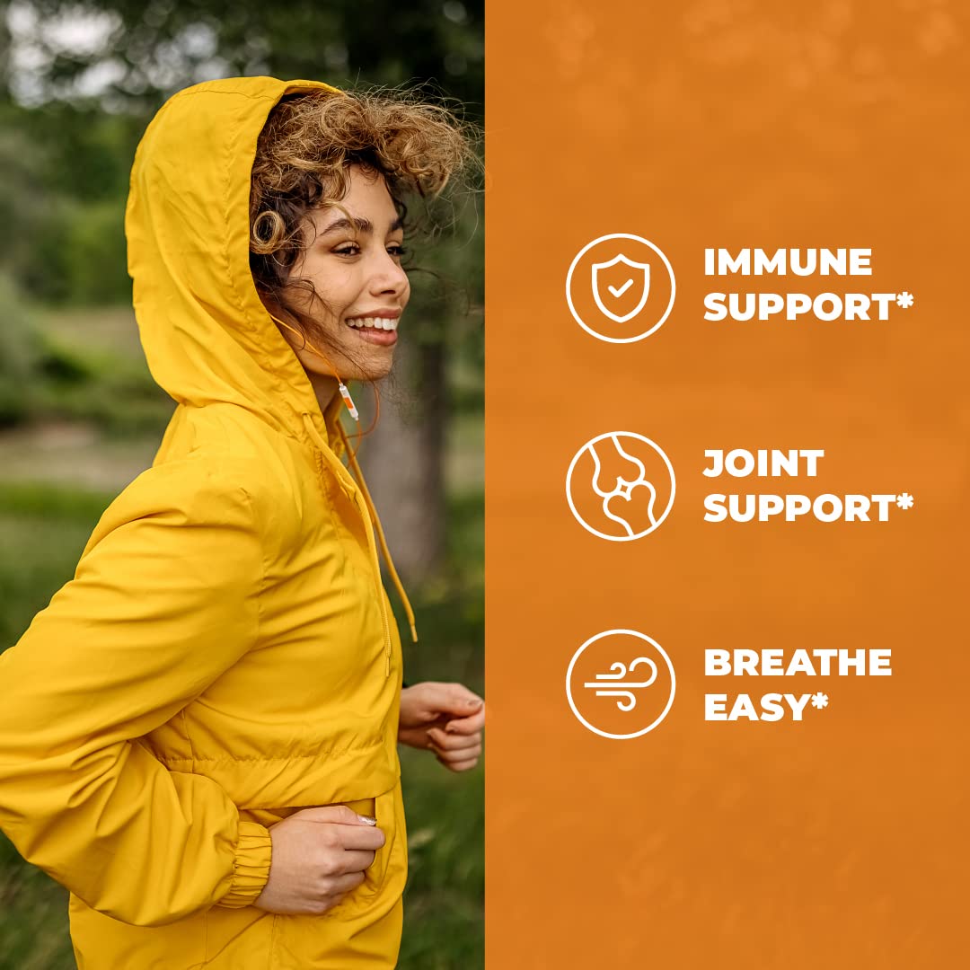 Turmeric Curcumin Quercetin with Bromelain and BioPerine Supplement