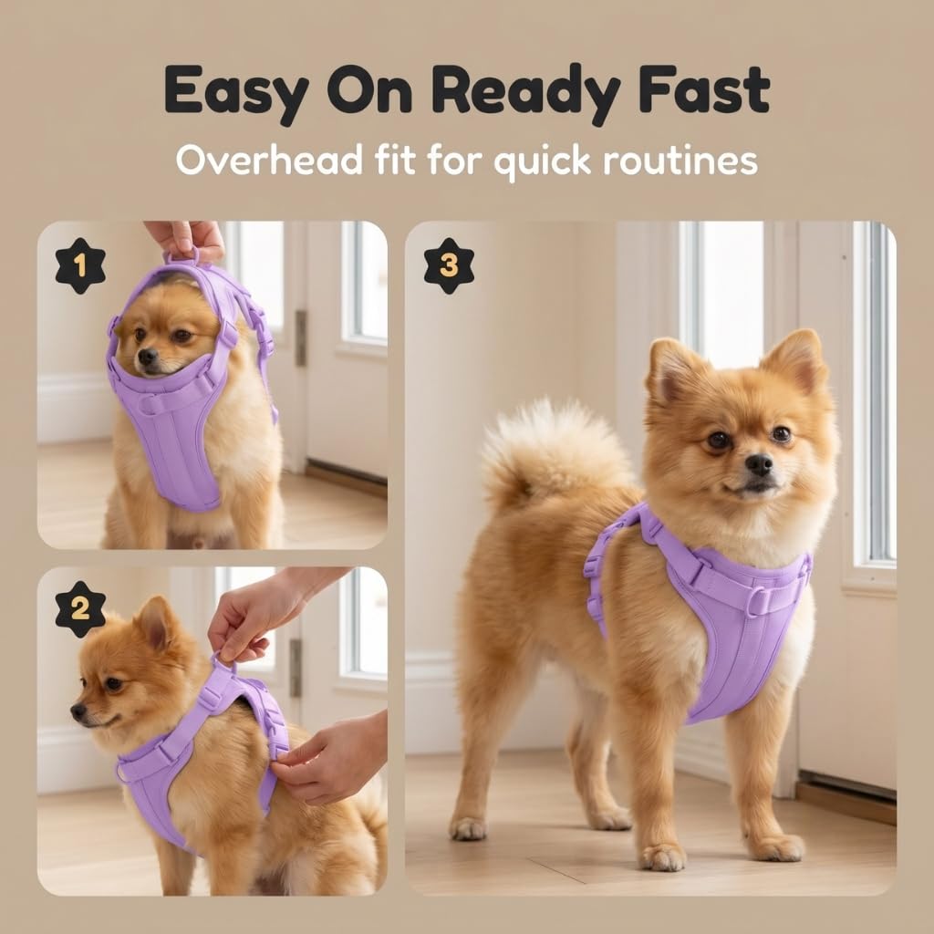 Arnés para perro, arnés para mascotas sin tirones con 3 clips de correa, chaleco acolchado suave ajustable, cojín de malla transpirable para perros pequeños, medianos y grandes (morado, pequeño