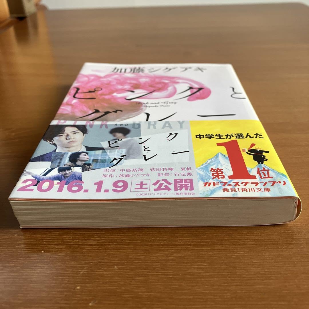 加藤シゲアキ　ピンクとグレー　直筆サイン本　10月5日まで特別価格 加藤シゲアキ ピンクとグレー 直筆サイン本 10月5日まで特別価格 加藤