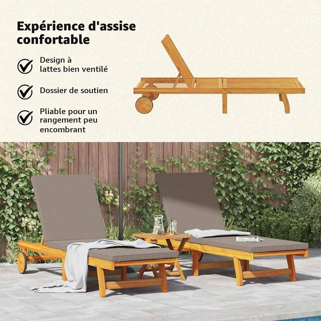 vidaXL Transat 2-Personne 2 pcs Marron Bois d'Acacia Massif, Transat d'extérieur réglable, mobilier de Jardin Moderne, Chaise Relax Multi-Positions, canapé terrasse Durable