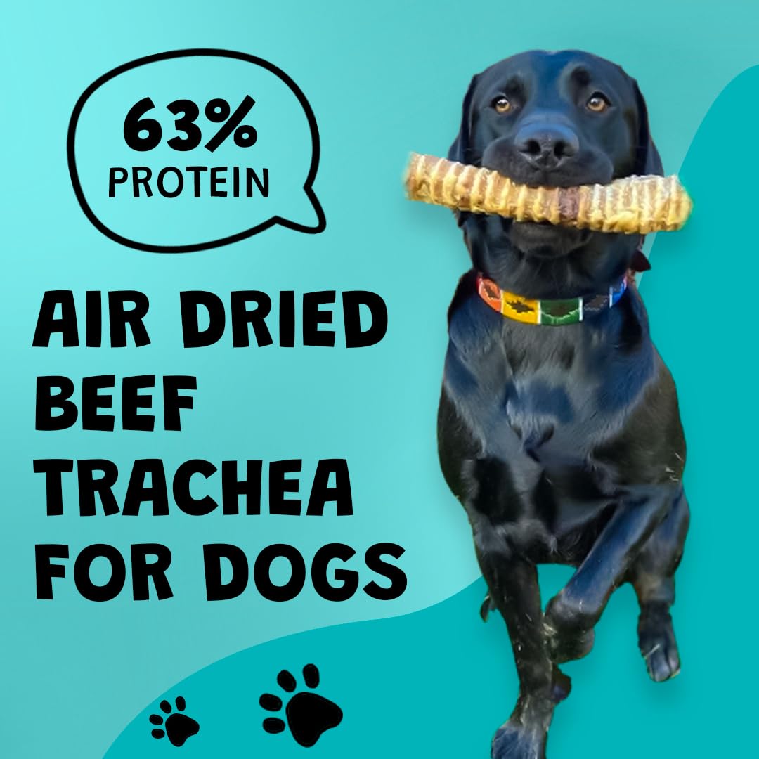 PAWLICIOUS 12-15 Pieces Pet Supplies 500gm Beef Air Pipe Trachea for Dog 15cm 100% Natural Healthy Air Dried Dog Treat Chews - Image 2
