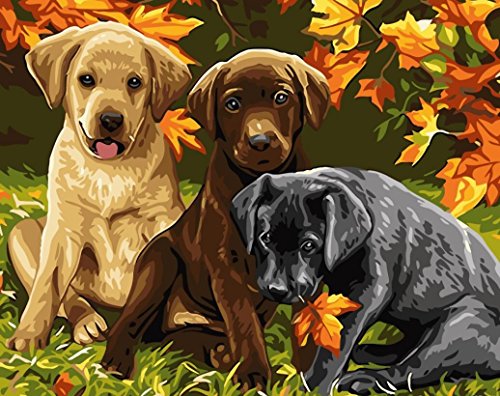 ES Art DIY PBN-Paint by Numbers Three Dogs 16-by-20 inches Frameless.