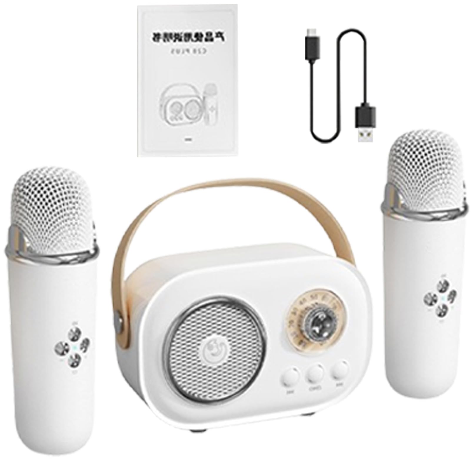 Haut-parleur portable pour karaoké – Petit karaoké avec deux rophones