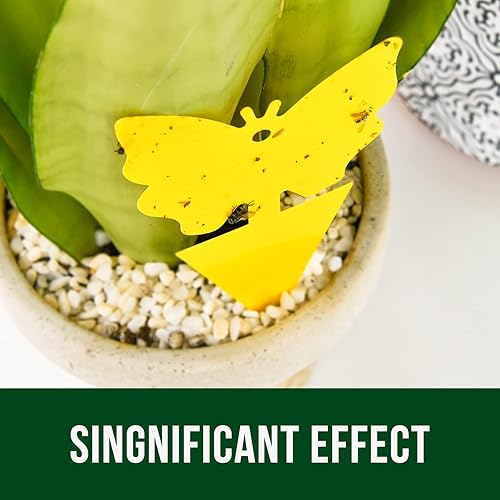 Miniatura 7 de Trampas Gant para interiores, trampa para insectos para moscas de la fruta, mata tejido de hongos pegajosos amarillos para plantas de interior,