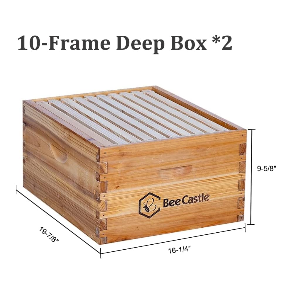 Complete Bee Hive Starter Kit with Coated Beehives Sri Lanka Ubuy