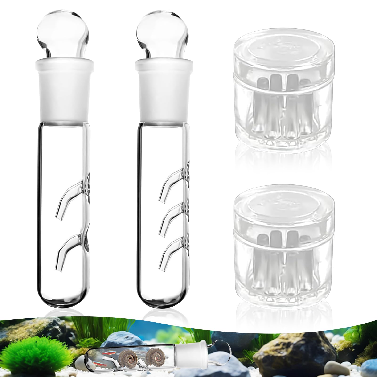 Planaria pułapka na ślimaki, 4 sztuki, 2 otwory, 3 otwory, przezroczyste szkło, pułapka Planaria Trap