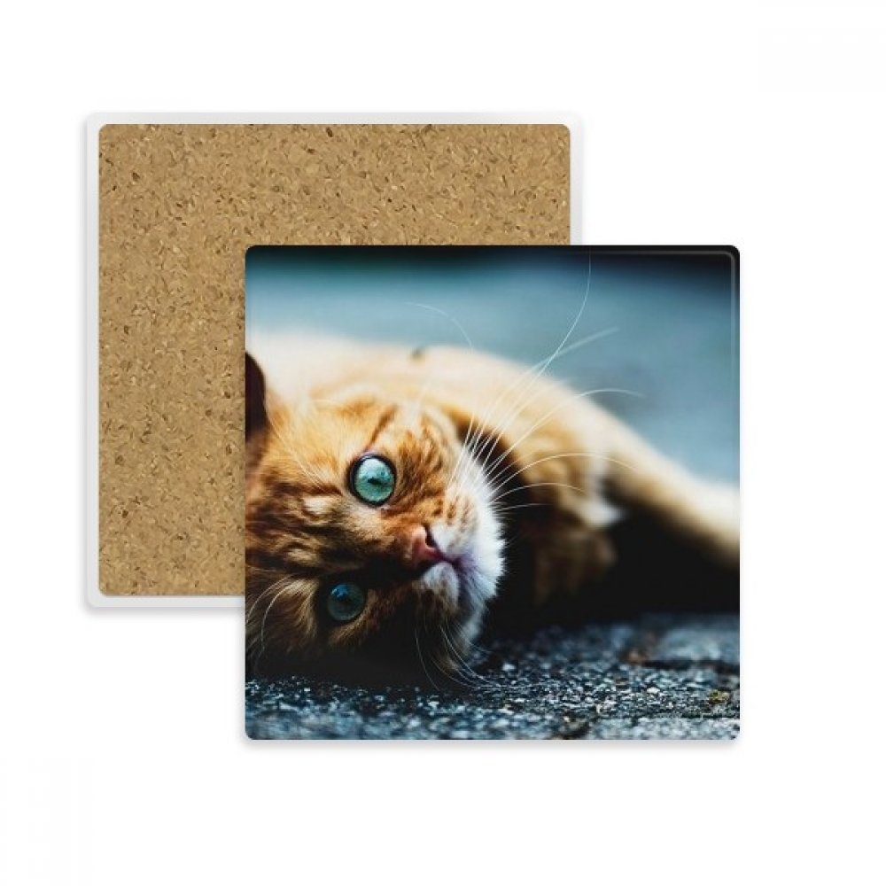 Sous-verre chat bleu anti-trace pour protéger vos meubles de l'humidité