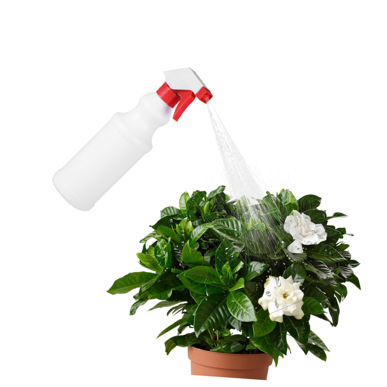 12 Stück Sprühflasche Mit Feiner Nebelpumpe, Wiederverwendbar, Auslaufsichere Düse Für Innen- Und Außenbereich, Kunststoff-sprühgerät