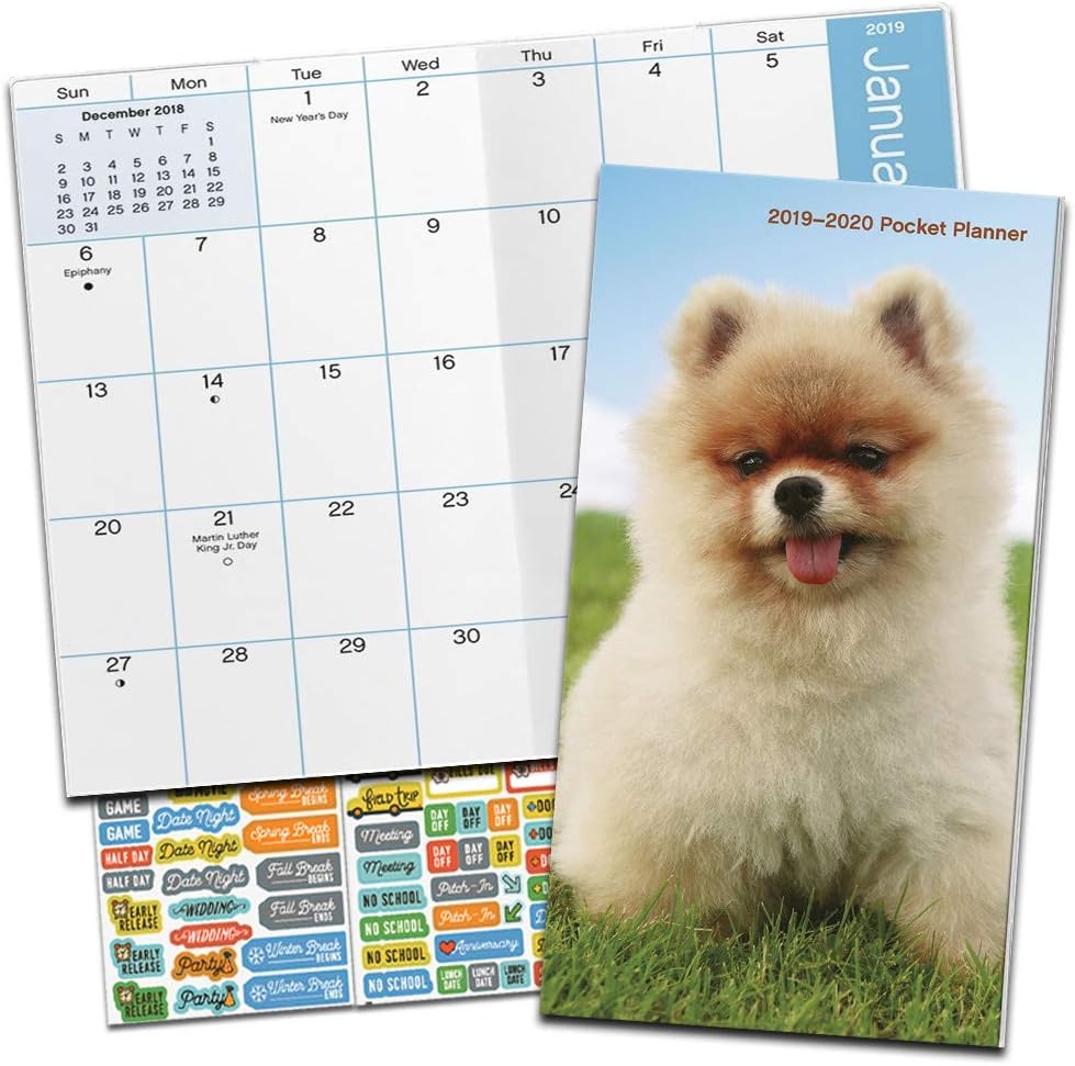 Puppies Monthly Pocket Planner 20192020 with DateWorks Calendar Stickers (Two Year