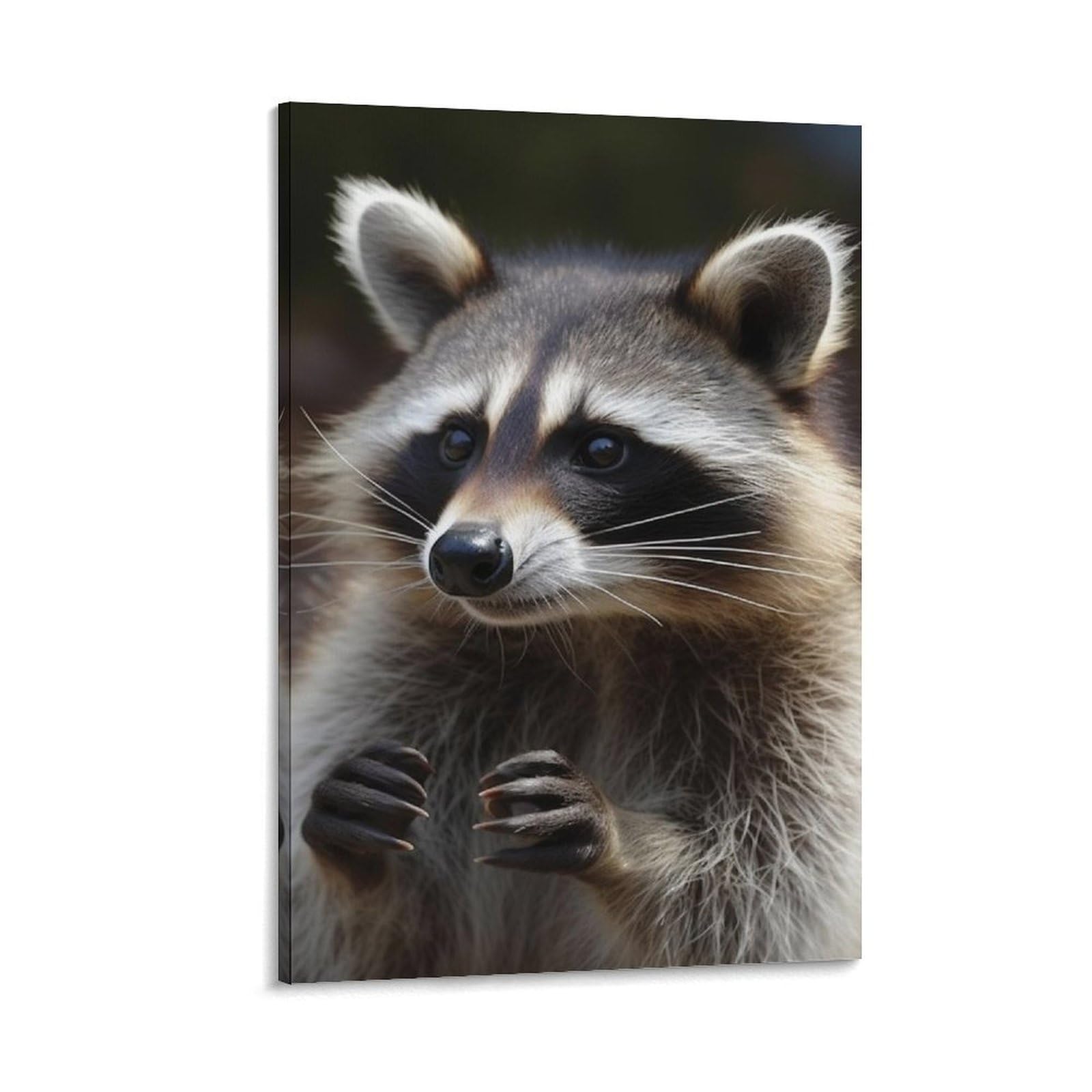 Canvas Wall Art for Living Room 16"x24" Modern Artwork Painting Pictures Hanging Canvas Prints Raccoon Aesthetic Wall Art for Bedroom Bathroom Office Wall Art Print Decor Raccoon Canvas Wall Art for