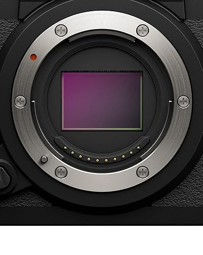 Amazon.com : Fujifilm X-H2S Mirrorless Camera Body - Black