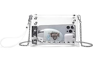 Silver Clear Purse