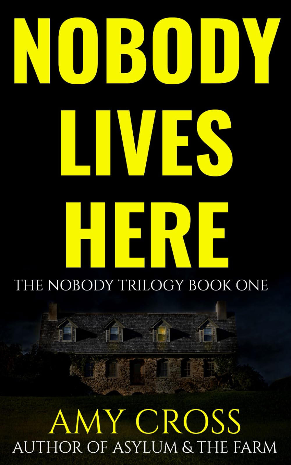 Nobody Lives Here: 1 (The Nobody Trilogy)