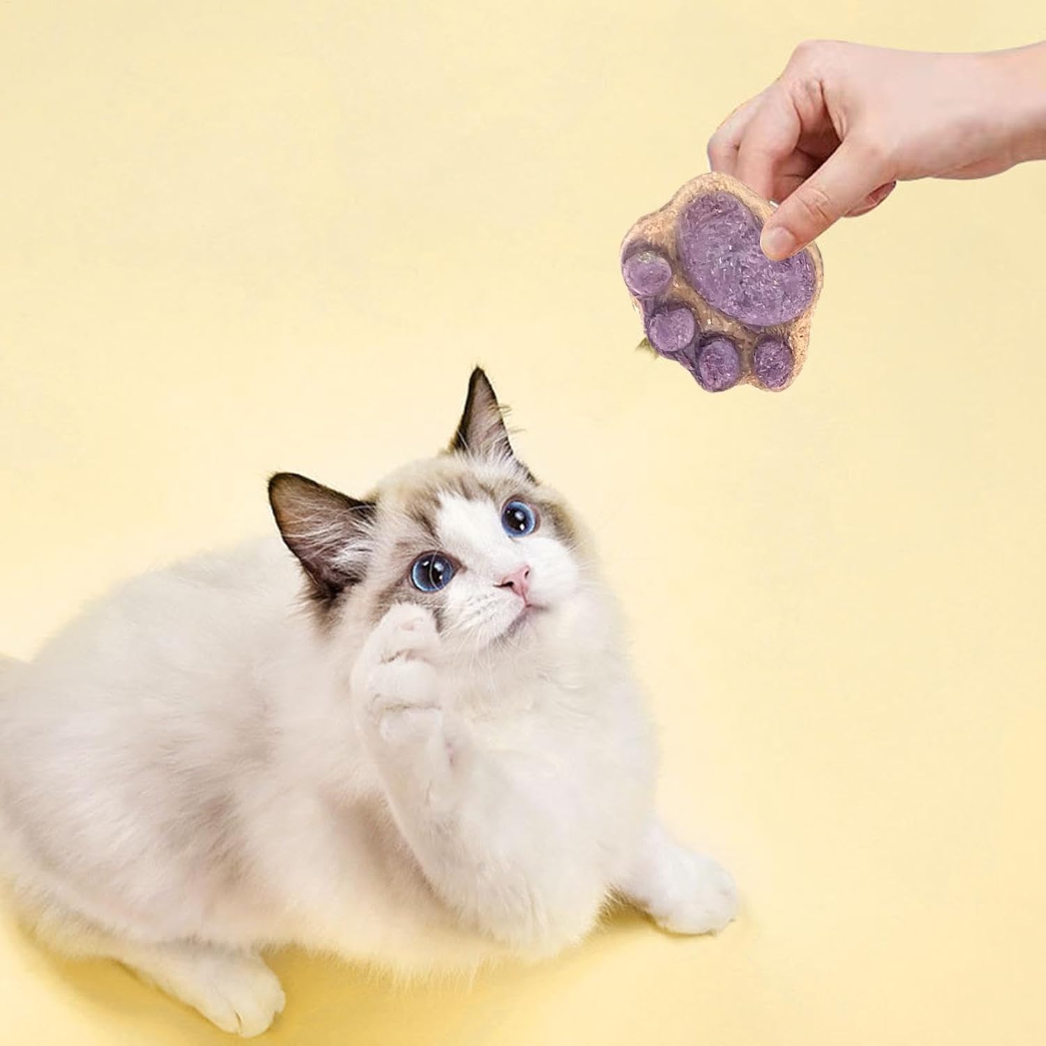 10pcs Paw Shaped Cat Snack Kittens Foods Treat Cat Oral Cleaning Snacks Cats Treat Selection Cats Grass Sticks For Indoor 5g 3 61QCssqBoiL. AC SL1500