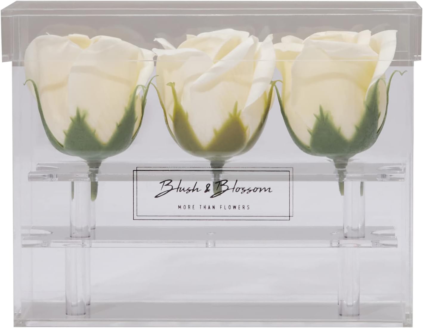 Blush & Blossom Cream Rose Petals in Clear Box (3 Pieces)