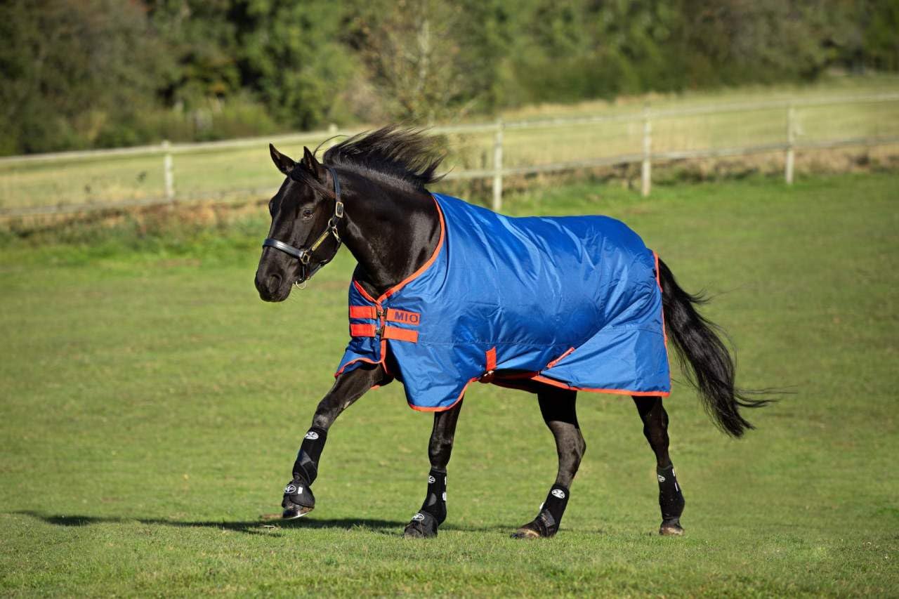 Horseware Amigo Mio Turnout medium black turquoise Weidedecke Winterdecke (115)
