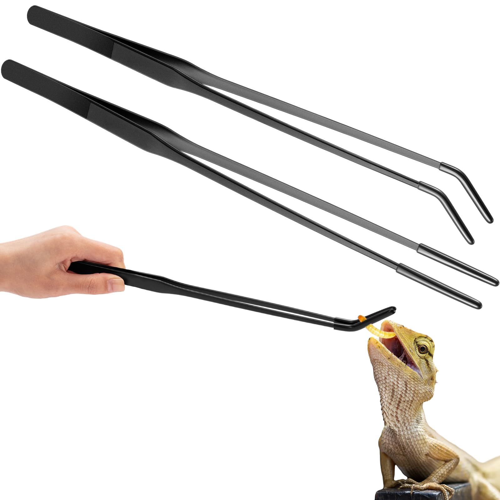 Lasnten 2 Pcs Extra Long Reptile Feeding Tongs
