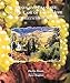 Wines and Brandies of the Cape of Good Hope: The Definitive Guide to the South African Wine Industry
