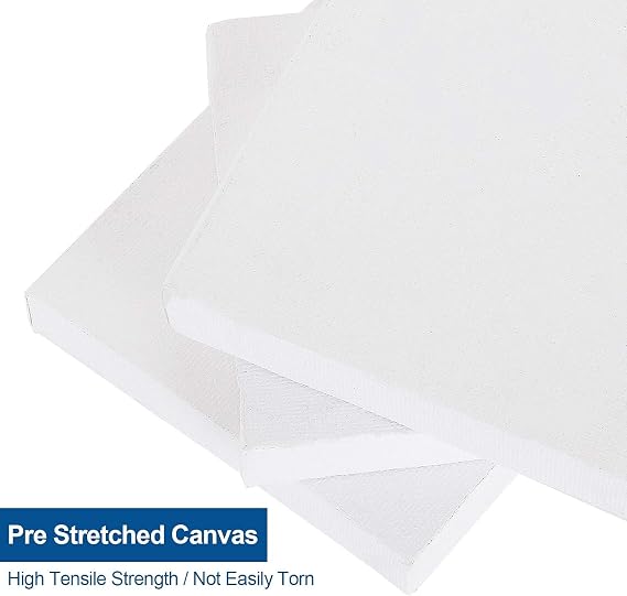 APACALI 12 Set Mini Canvas Panels 6 x 6 Inch with Wood Easels