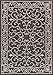 JONATHAN Y SMB106G-4 Charleston Vintage Filigree Textured Weave Indoor Outdoor-Rug LivingRoom Backyard,4 X 6,Black/Gray