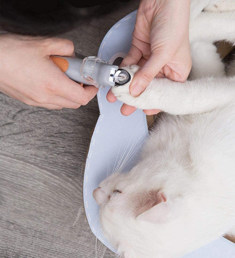 Clipper para Perros Dog Trimmer Nail Trimmer Millón de Garra de Gato con luz LED y Lupa 5X Safety Safety Clavas para Mascotas