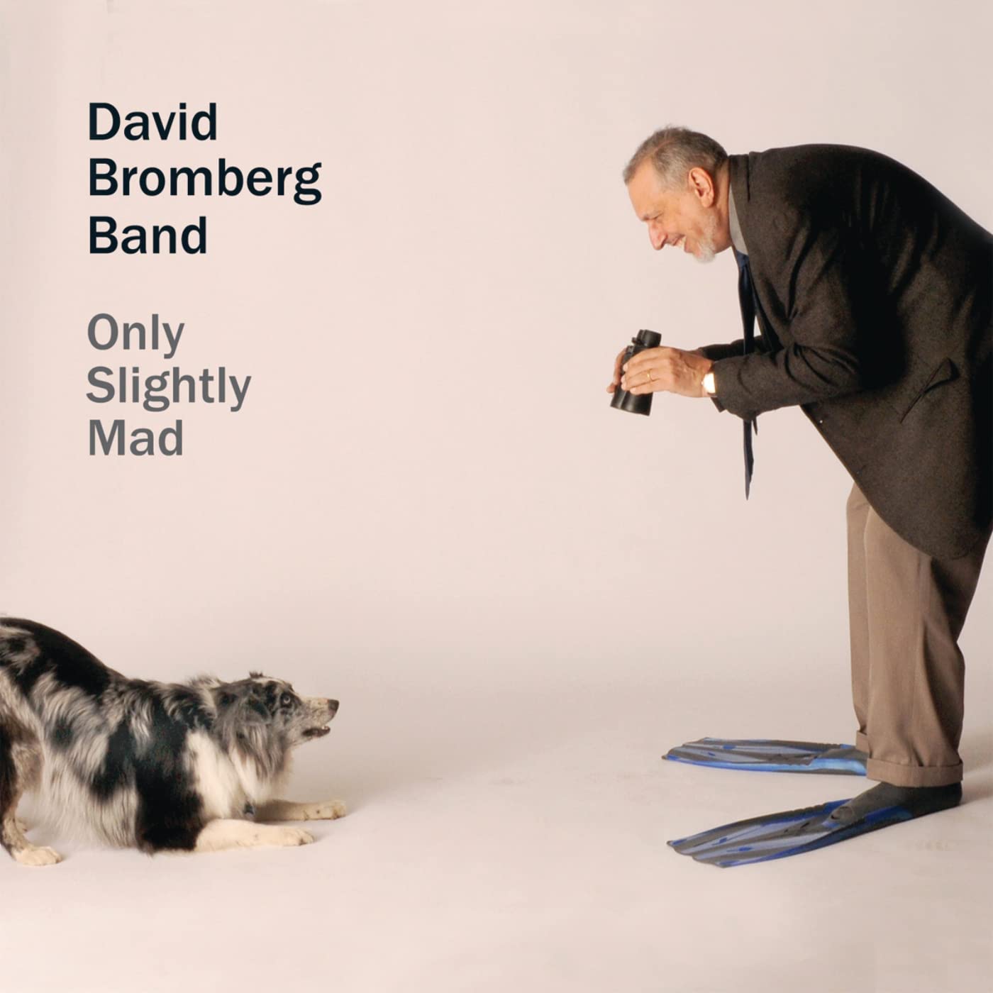 The David Bromberg Band