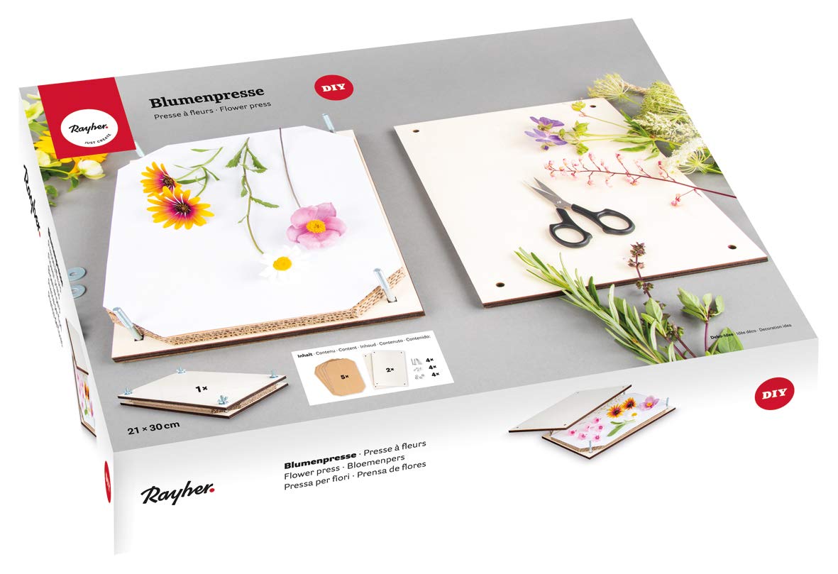 Rayher Kit de prensado de flores, 21x30 cm, para hojas y flores secas, 27000505