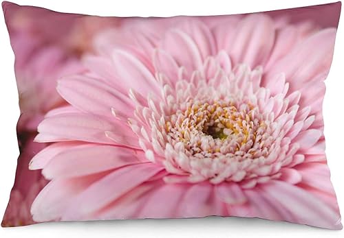 Funda de almohada lumbar rosa con margaritas para exteriores, de 16 x 24 pulgadas, a la moda, con cremallera, diseño de impresión de doble cara para