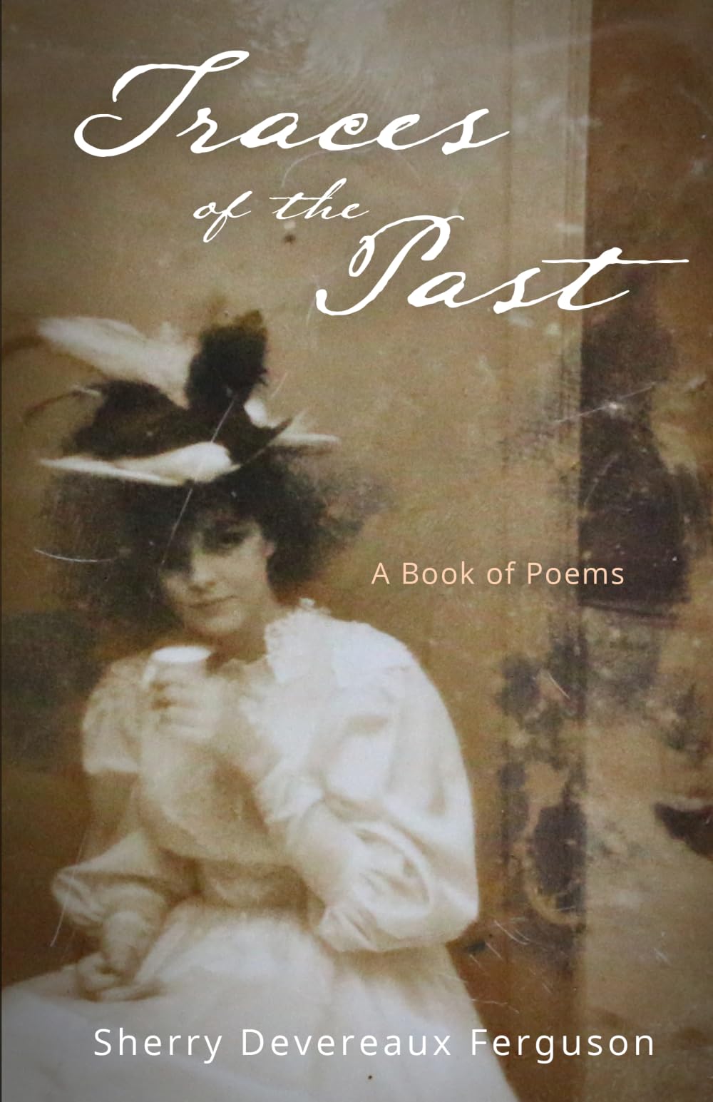 Traces of the Past: A Book of Poems