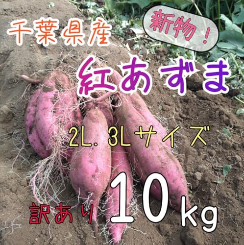܂ Vg 2L.3LTCY 10kg 󂠂