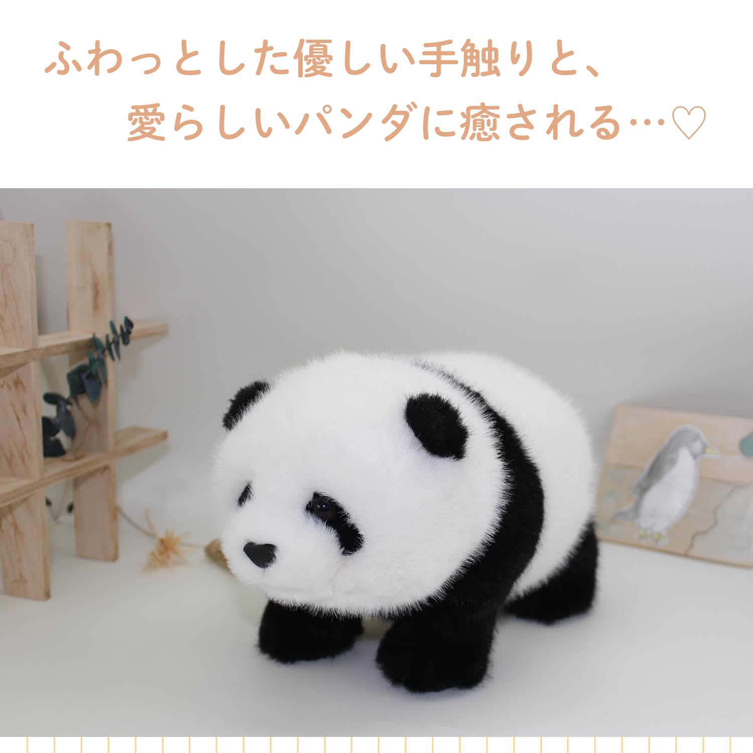 Amazon.co.jp: 子パンダ パンダ ぬいぐるみ panda 【M 中サイズ】 25cm