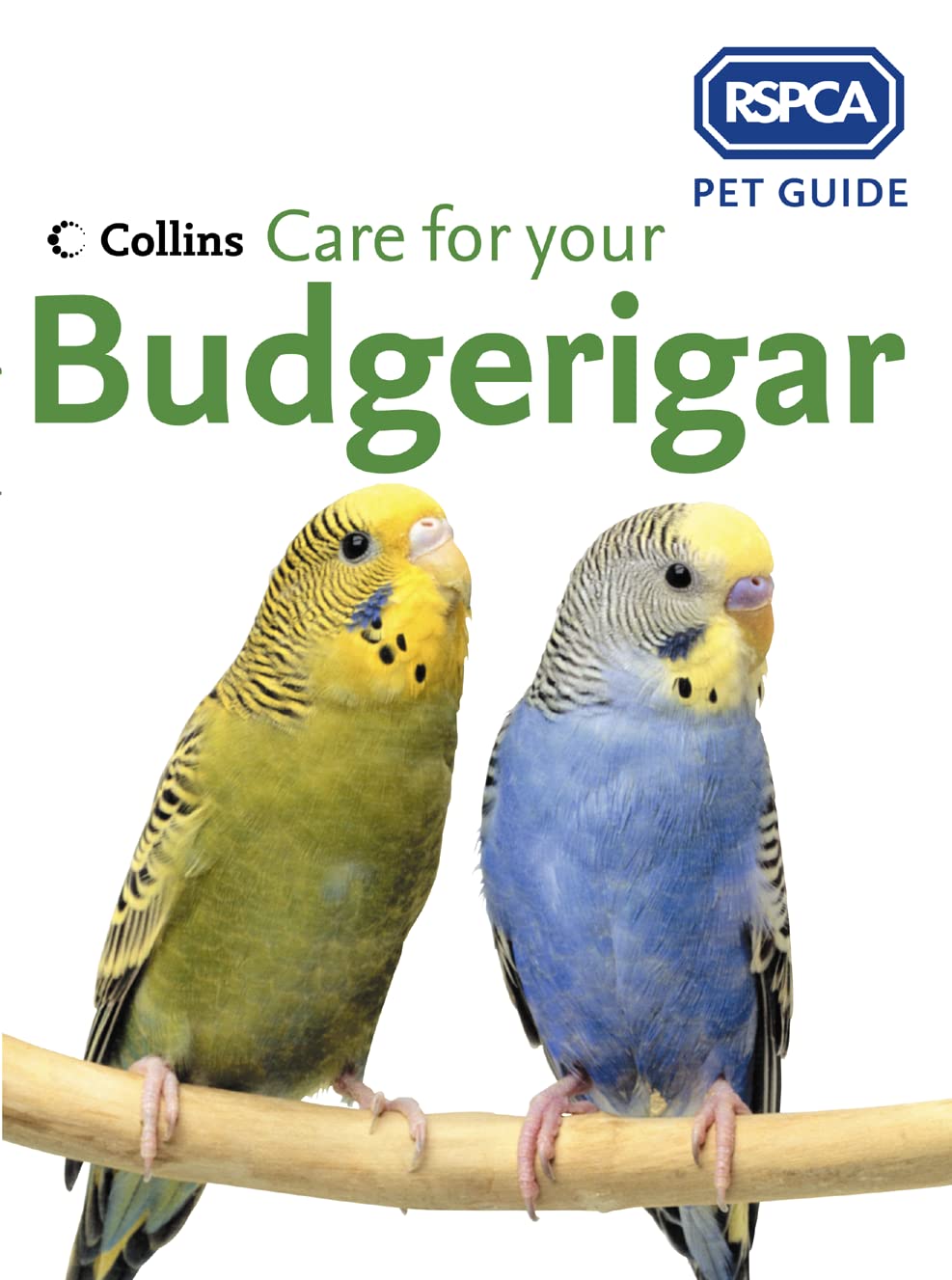 Buy Care for Your Budgerigar (Rspca Pet Guide) — BookShops.in