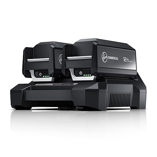 Miniatura 2 de HVRPWR Cargador de doble bahía de 40 V, CH07250, negro