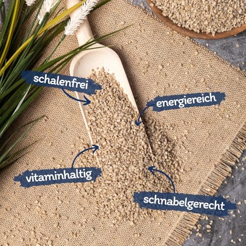 Lyra Pet® | 25 kg Sonnenblumenkerne Geschält Bruch | Wildvogelfutter Ganzjährig | Optimal für Jungtiere | Vogelfutter für Wildvögel | Wertvolles Streufutter | Energiespender für Sommer + Winter