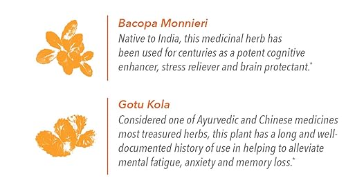 Miniatura 4 de Energy + Focus de Javita - Mezcla de café de tostado medio 100% sudamericano, arábica y Robusta más Bacopa, Gotu Kola para ayudar a apoyar la