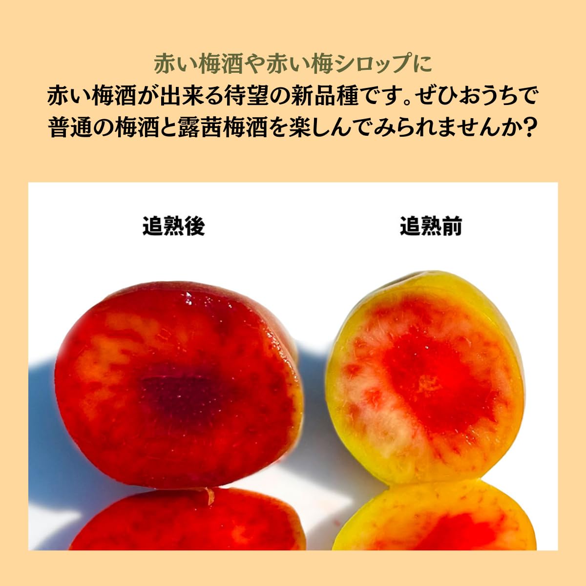 Amazon.co.jp: 【販売中】 産地直送 露茜 つゆあかね A級B級 混合 梅と