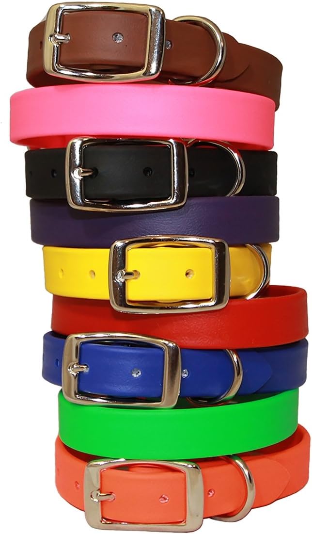 Sparky’s Choice Vinyl Coated Collar of Size 1 x 26 inches, Classic Flat Style available in Green with a Nickel-Plated Buckle, A Festive Choice for Medium and Large Dogs, Made in The USA
