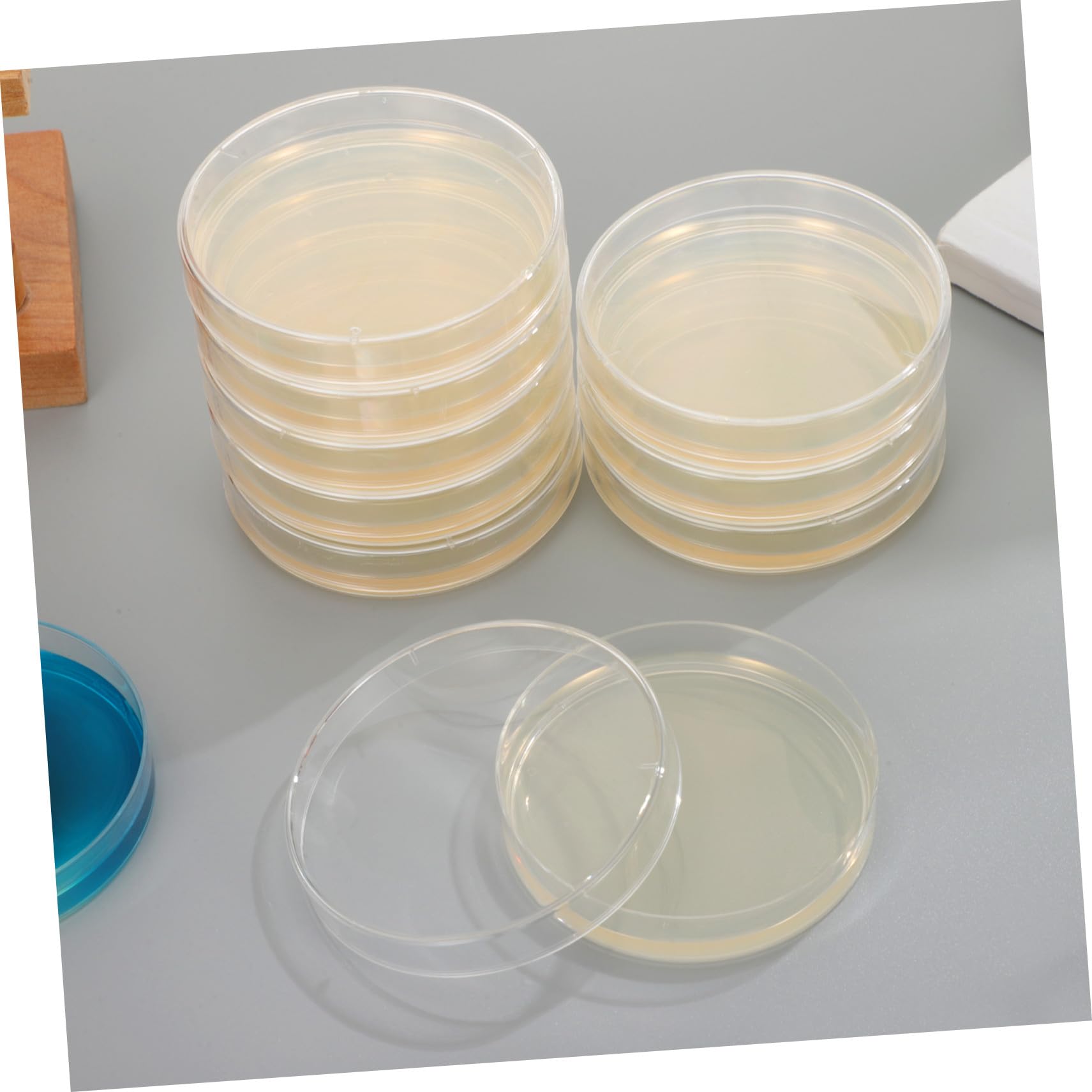 SHINEOFI 20 piezas Unidades Placas Petri de Agar Nutritivo Prefabricadas para Cultivo Microbiológico Escolar y Laboratorio con Gruesa de Agar para Crecimiento Rápido