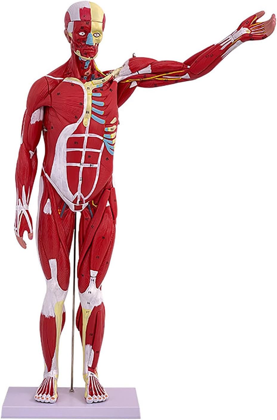 School Rd Late Night Deals!