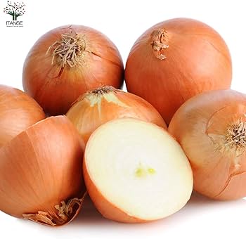 Amazon.co.jp: ITANSE 玉ねぎ抜き苗 品種:もみじ3号(晩生) 4束 Amazon.co.jp: ITANSE 玉ねぎ抜き苗 品種:もみじ3号(晩生) 4束
