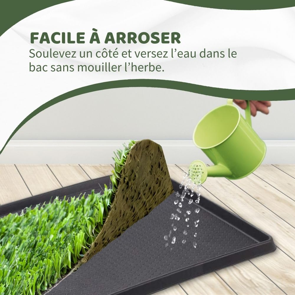Petzolla Bac à litière écologique de vrai gazon original