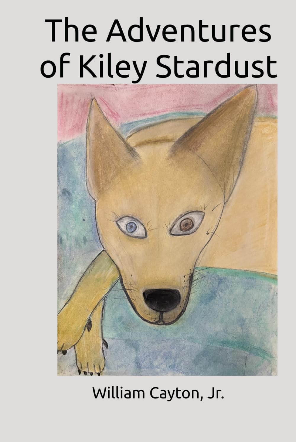 The Adventures of Kiley Stardust