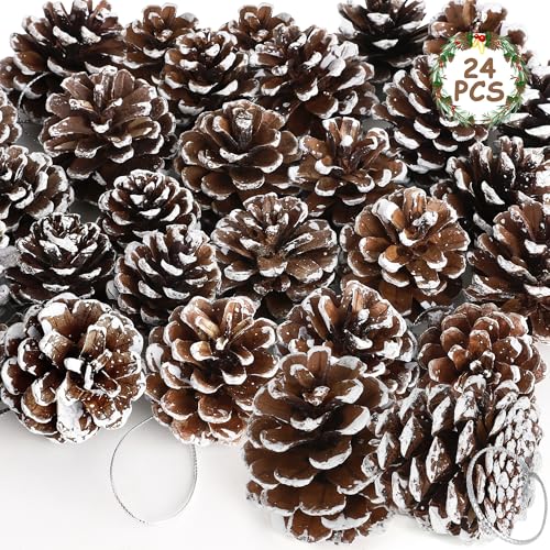 24 PCS Natural Pine Cones, 1.96 in Pinecone...