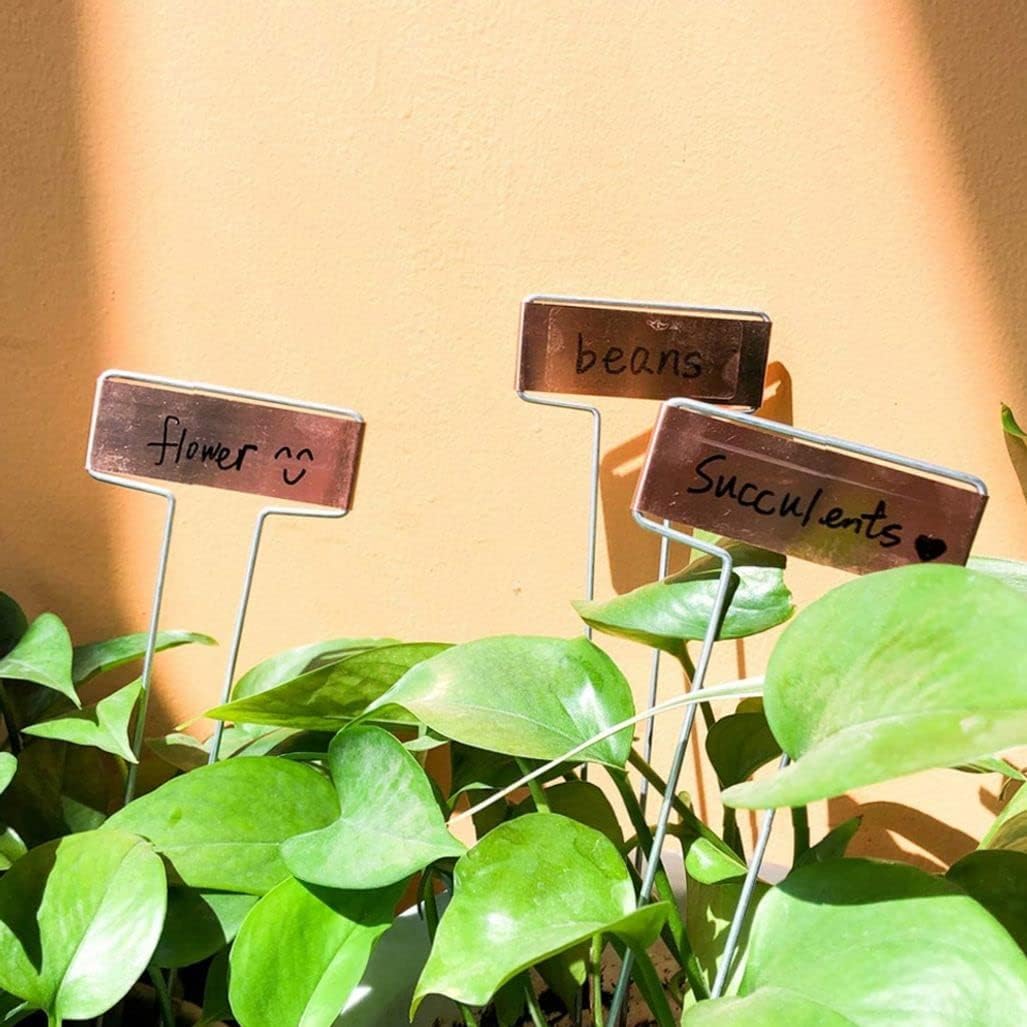 Plant Label, 25pcs Garden Markers Signs Labels, Reusable Copper Plate Metal Plant Labels Hanging Plant Tags for Plants Flower Bed, Pots, Planters, Garden