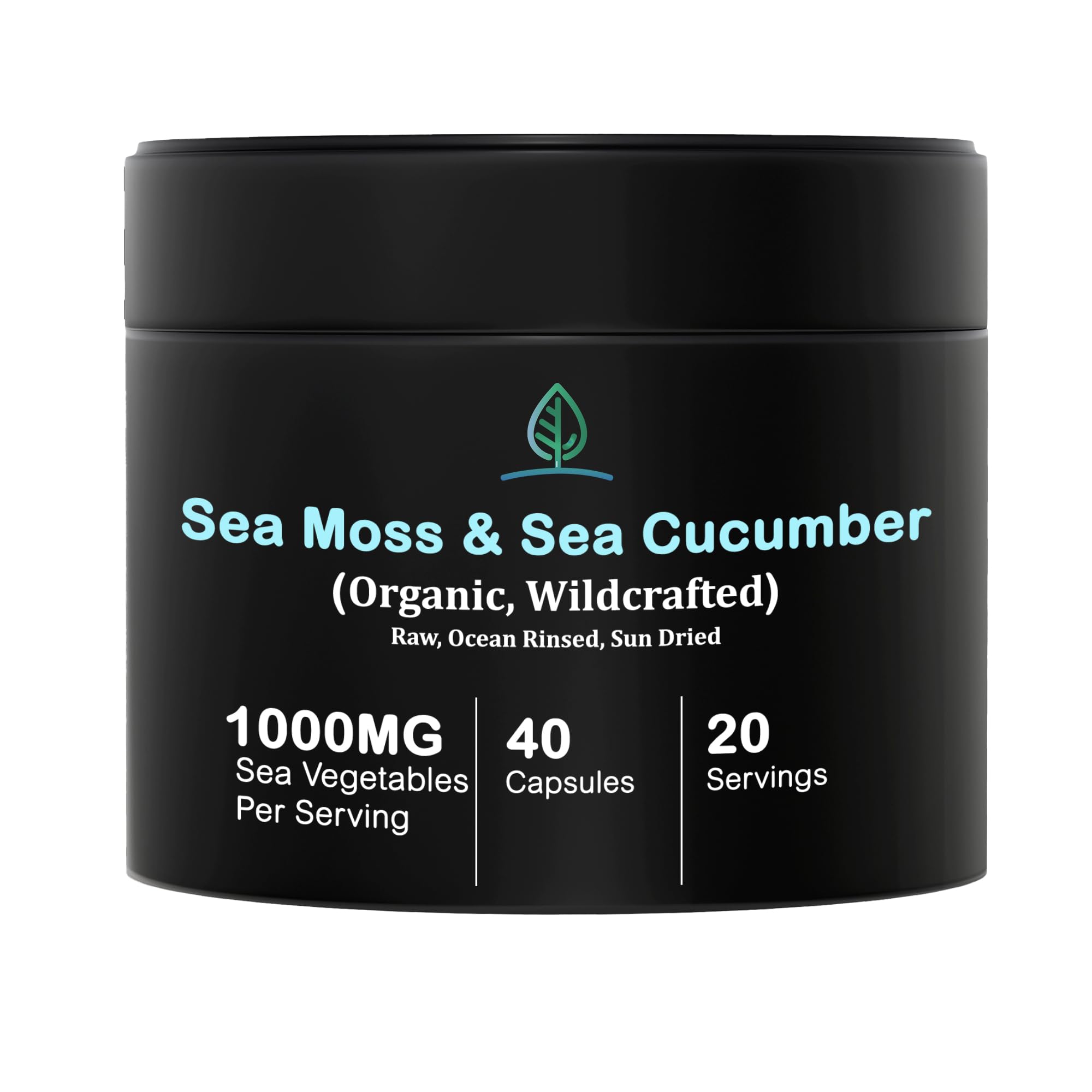 Holistic Bin Purple Sea Moss and Sea Cucumber Supplement Wildcrafted Raw Sea Moss Capsules | 500mg Sea Vegetables Per Serving