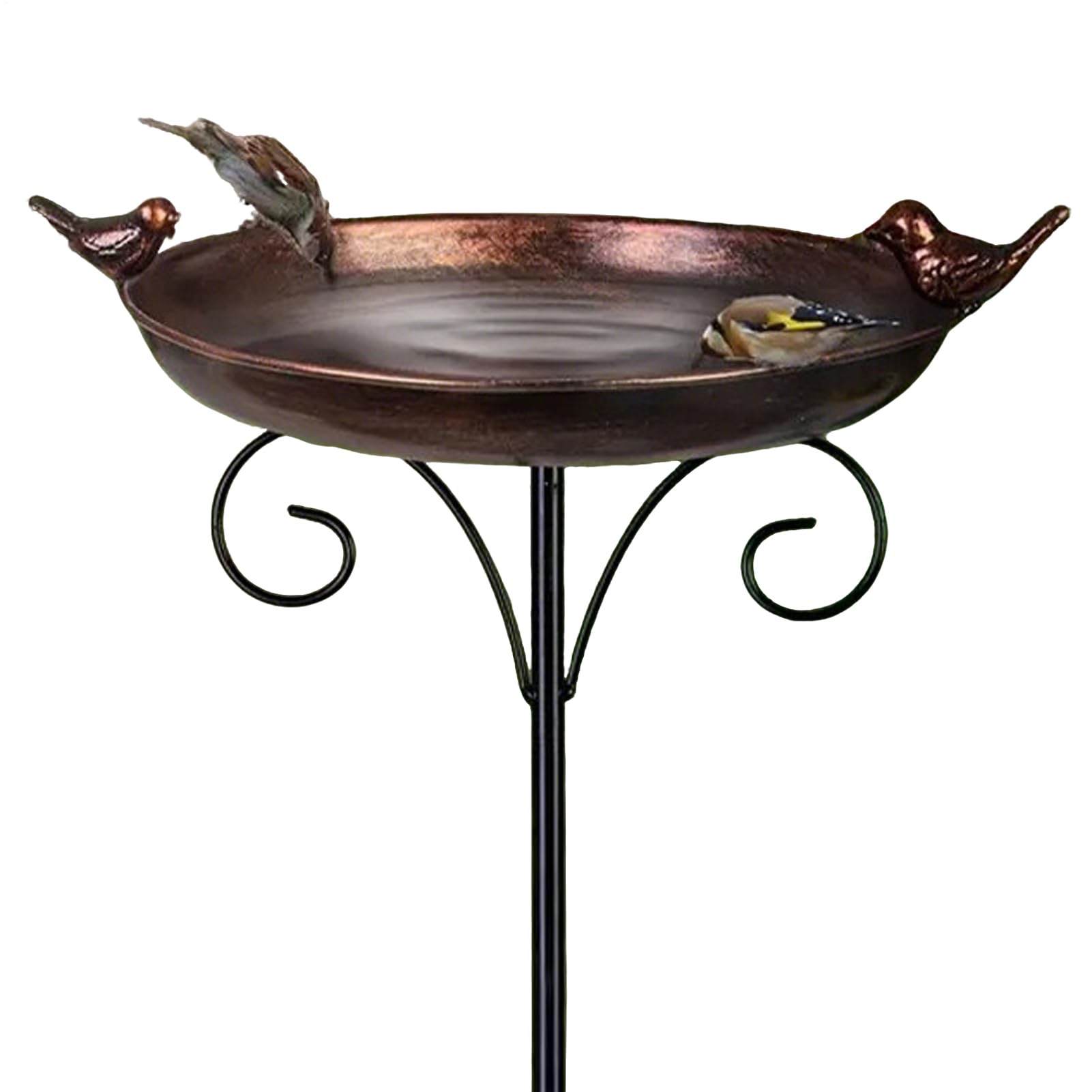 Bain d'Oiseau Vintage Bassine de Bain Abreuvoir pour Oiseaux